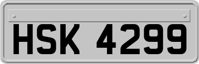 HSK4299