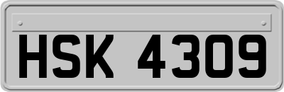 HSK4309