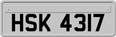 HSK4317