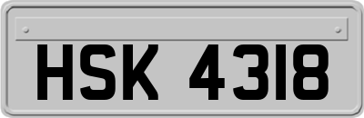 HSK4318