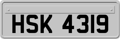 HSK4319