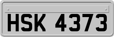 HSK4373
