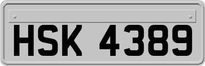 HSK4389