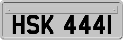 HSK4441