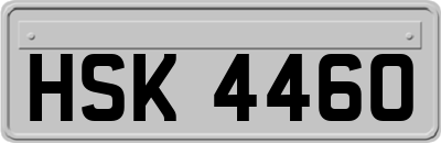 HSK4460