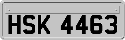 HSK4463