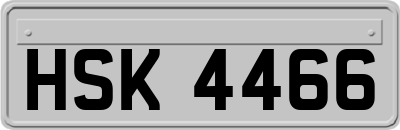 HSK4466