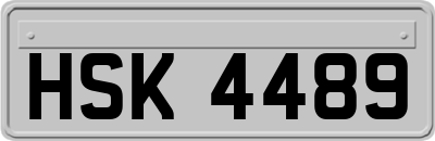 HSK4489