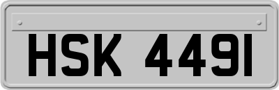 HSK4491