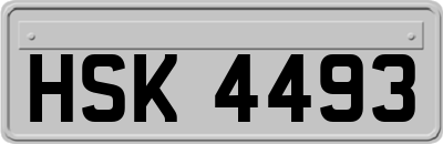 HSK4493
