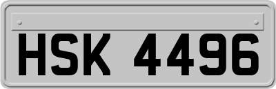 HSK4496