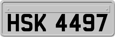 HSK4497