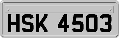 HSK4503