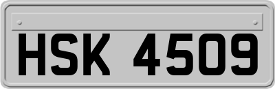 HSK4509