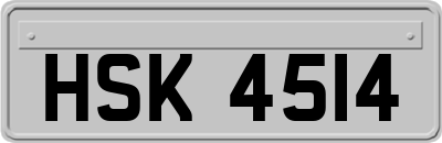 HSK4514