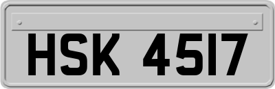 HSK4517