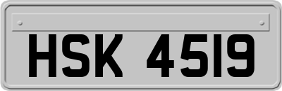 HSK4519