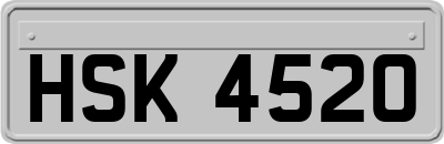 HSK4520