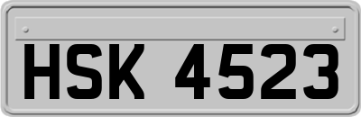 HSK4523