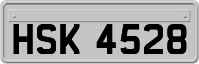 HSK4528