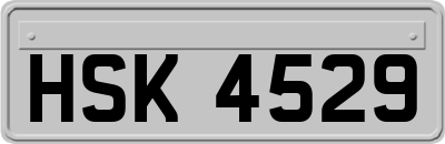 HSK4529