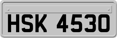 HSK4530