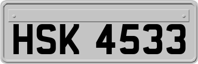 HSK4533