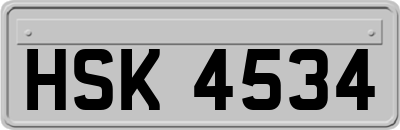 HSK4534
