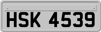 HSK4539