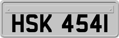 HSK4541