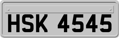 HSK4545