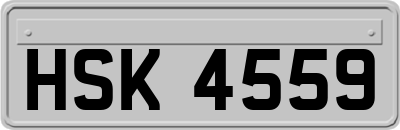 HSK4559