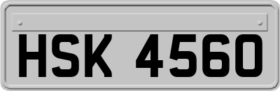 HSK4560