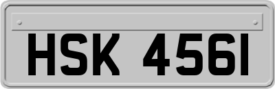 HSK4561