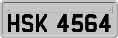 HSK4564