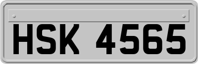 HSK4565