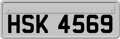 HSK4569