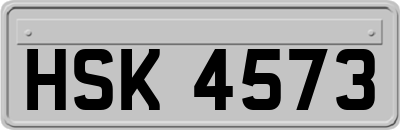 HSK4573