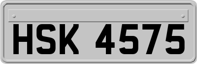 HSK4575