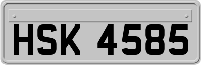 HSK4585