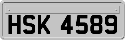HSK4589