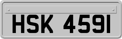 HSK4591