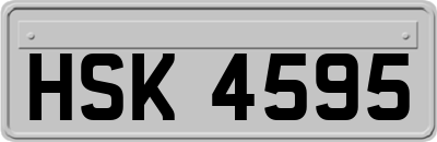 HSK4595