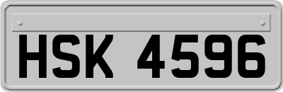 HSK4596