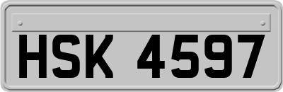 HSK4597