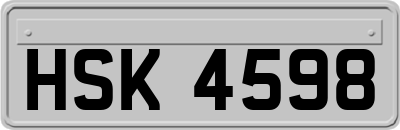 HSK4598