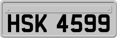 HSK4599