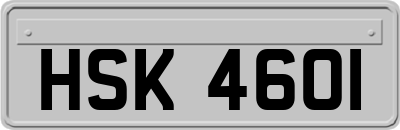 HSK4601