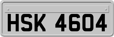 HSK4604