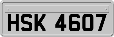 HSK4607